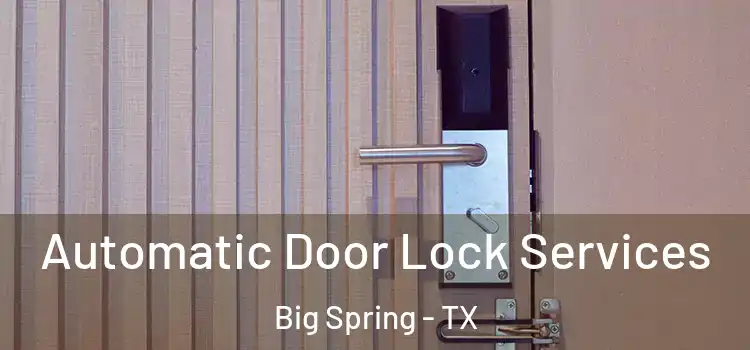  Automatic Door Lock Services Big Spring - TX
