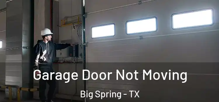  Garage Door Not Moving Big Spring - TX