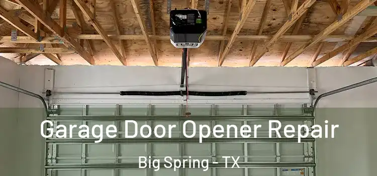  Garage Door Opener Repair Big Spring - TX