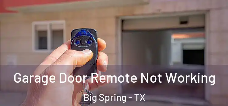  Garage Door Remote Not Working Big Spring - TX