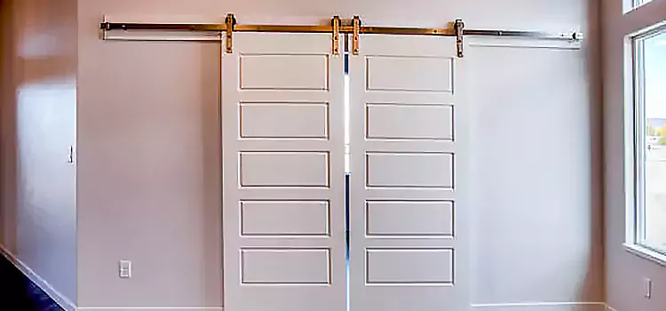 Glass Barn Door with Installation Hardware Kit Big Spring