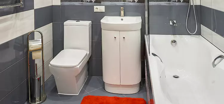 Hansgrohe Shaving Mirror Big Spring