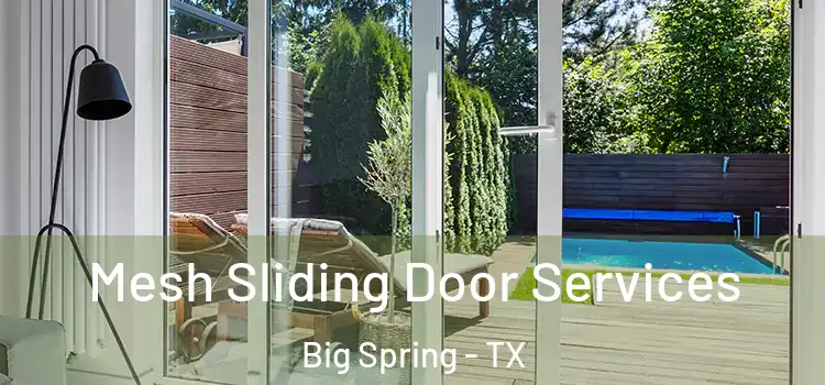 Mesh Sliding Door Services Big Spring - TX